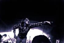 Foxygen (16)