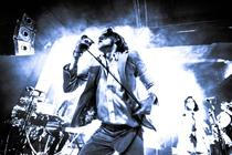 Foxygen (5)