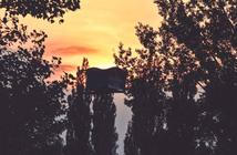 Colours 4 (4)