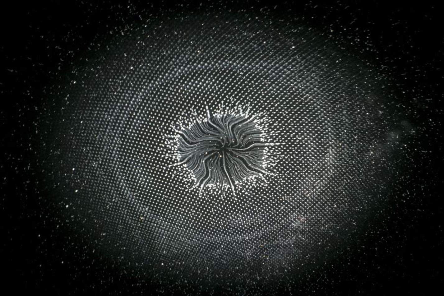 biosphere_spectaculare17-007