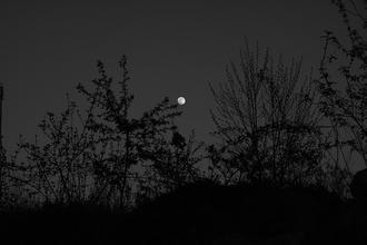 fullmoonzine.cz