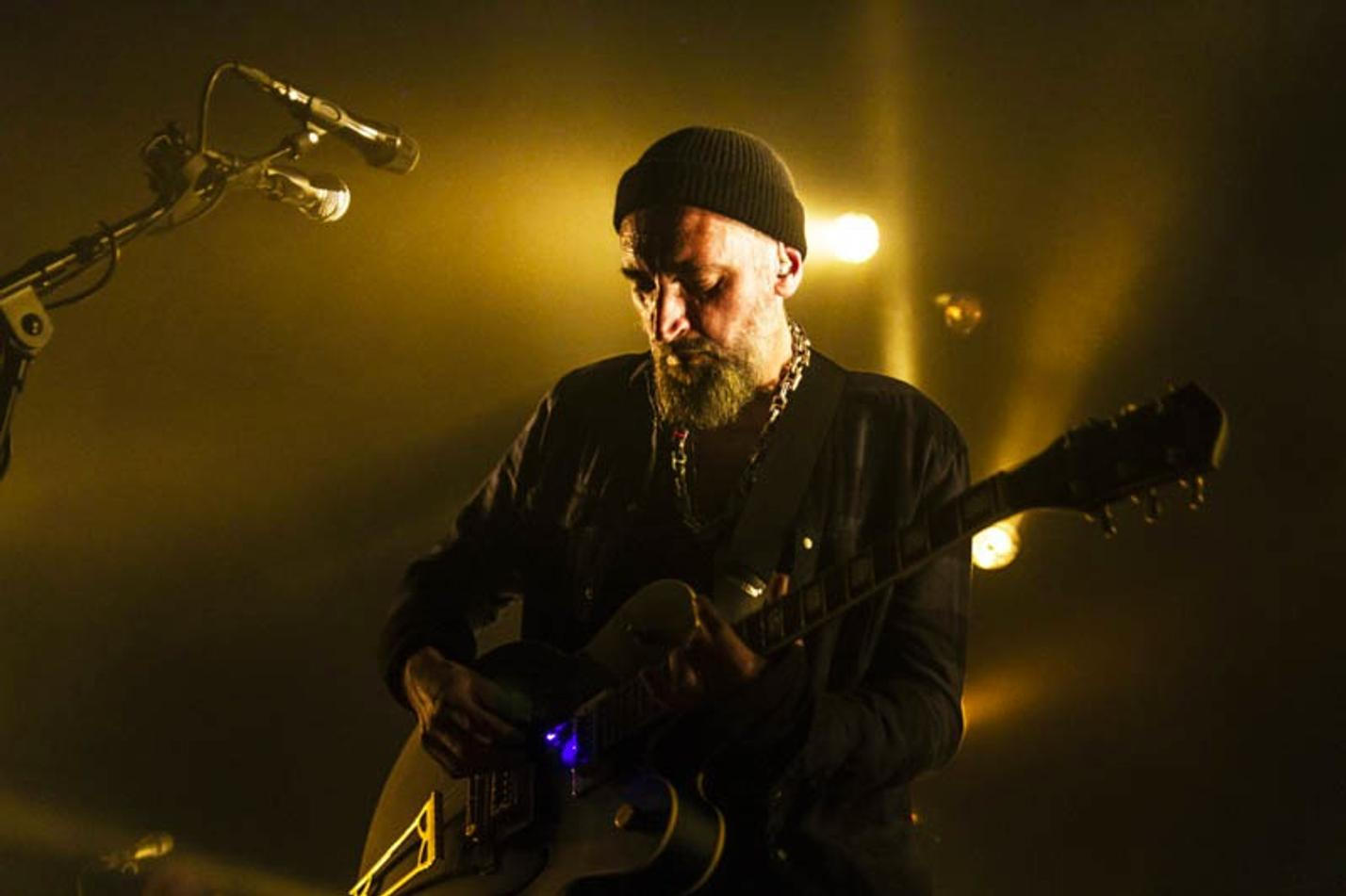 Fink (14) (1)