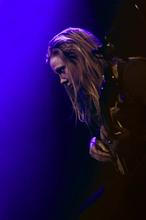 Fink (1) (1)