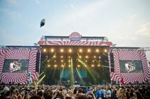 8772_foals