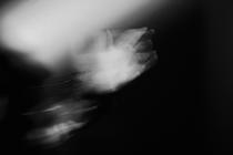 Chelsea Wolfe 5