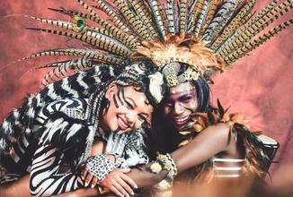 Exotic Stage 1 (1)