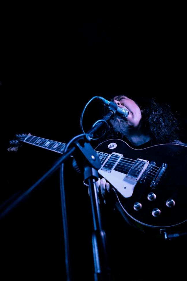 usnea (1 of 1)