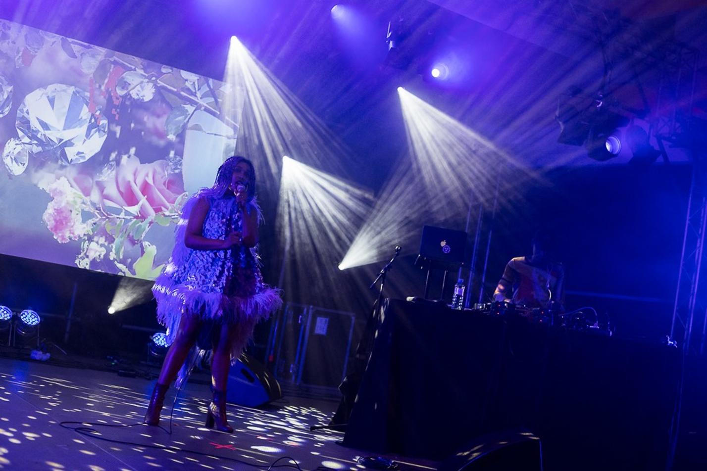 07_MHYSA_Donaufestival_28_04_2018_Kremze_Rakousko