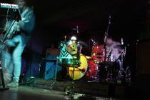 12 PLEASE THE TREES (1)