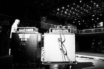 03_swans