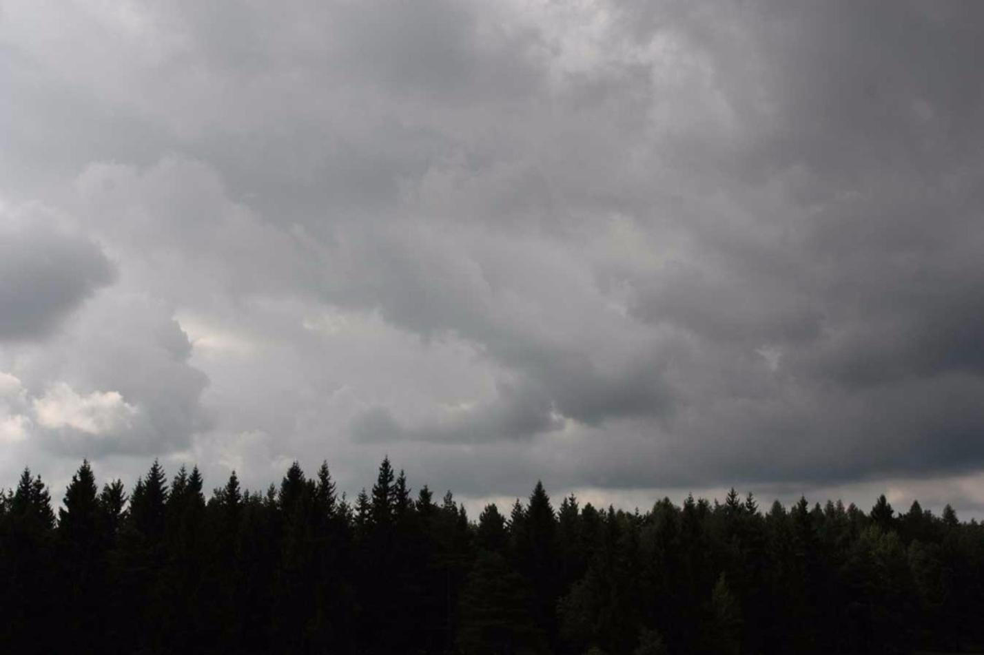 Oživme Prameny_terén (4) (2)