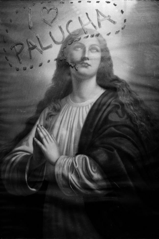 Zvíře jménem Podzim 12