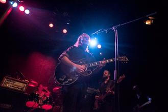 swans_12