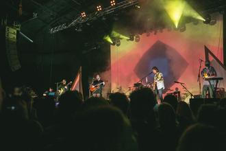 fleet foxes (10)