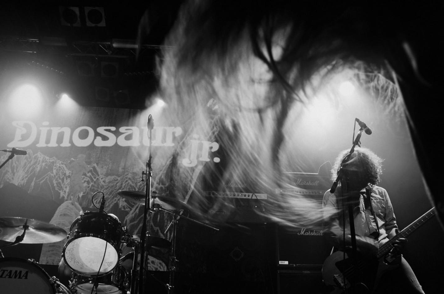 14 Dinosaur Jr