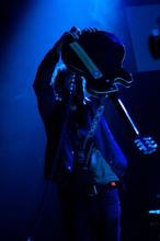Please The Trees5
