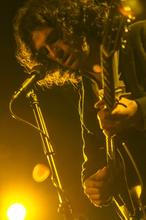 King Charles (8)