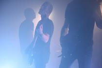 Ulsect