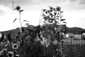 fullmoonzine.cz
