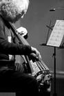 010DavidFriesen