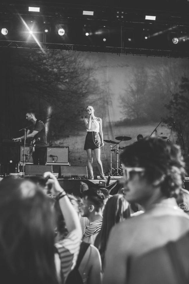 Wolfalice4