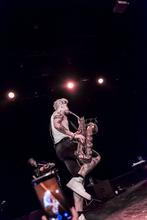13_Too Many Zooz