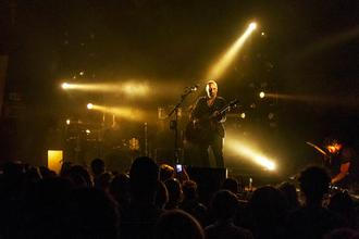 Fink (22) (1)