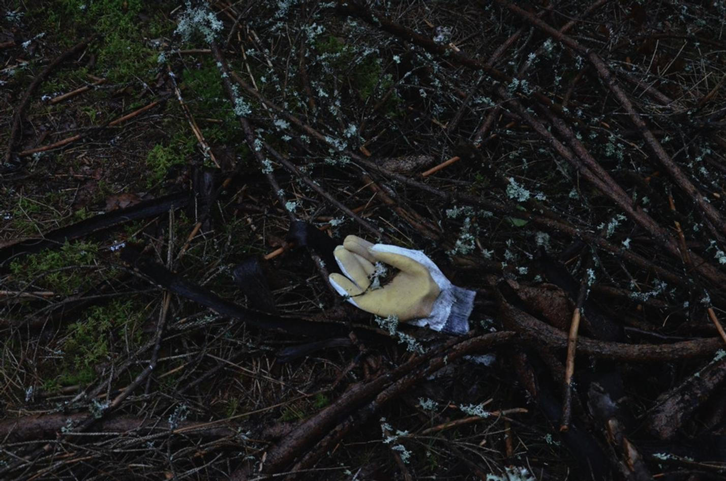 17 NP Šumava