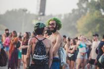 Sziget 2 (4)