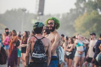 Sziget 2 (4)