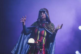 Superorganism 1