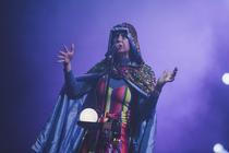 Superorganism 1