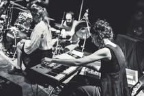 Polyband 6