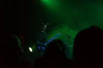 low roar-8