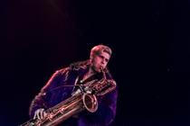15_Too Many Zooz