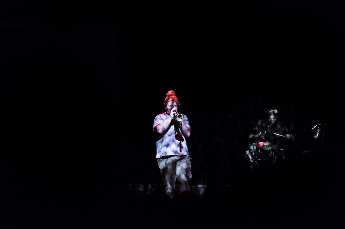 05_Too Many Zooz