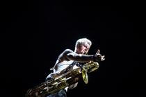 12_Too Many Zooz