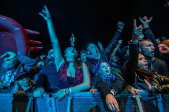 Dropkick Murphys (4)