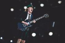 acdc-8213