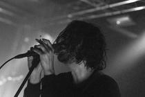 The_Wilderness_5