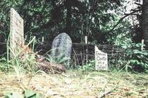 Hřbitov