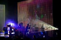 0730_fauve