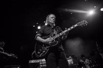 swans_08