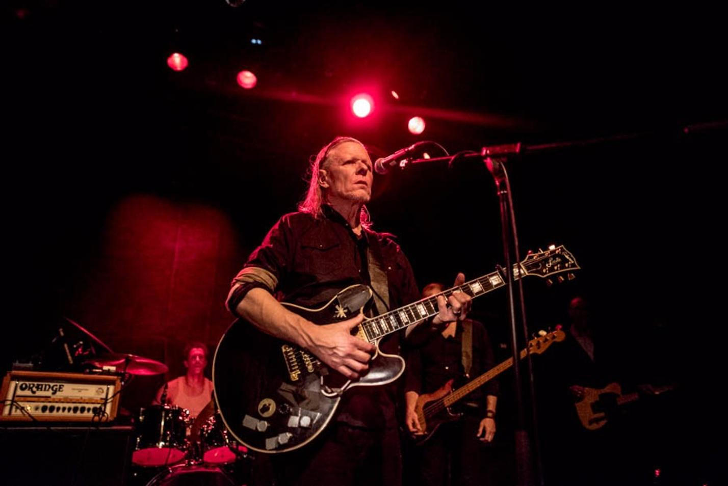 swans_07