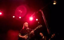 swans_01