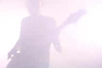 Ulsect