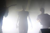 Ulsect