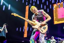 red hot chilli peppers_02