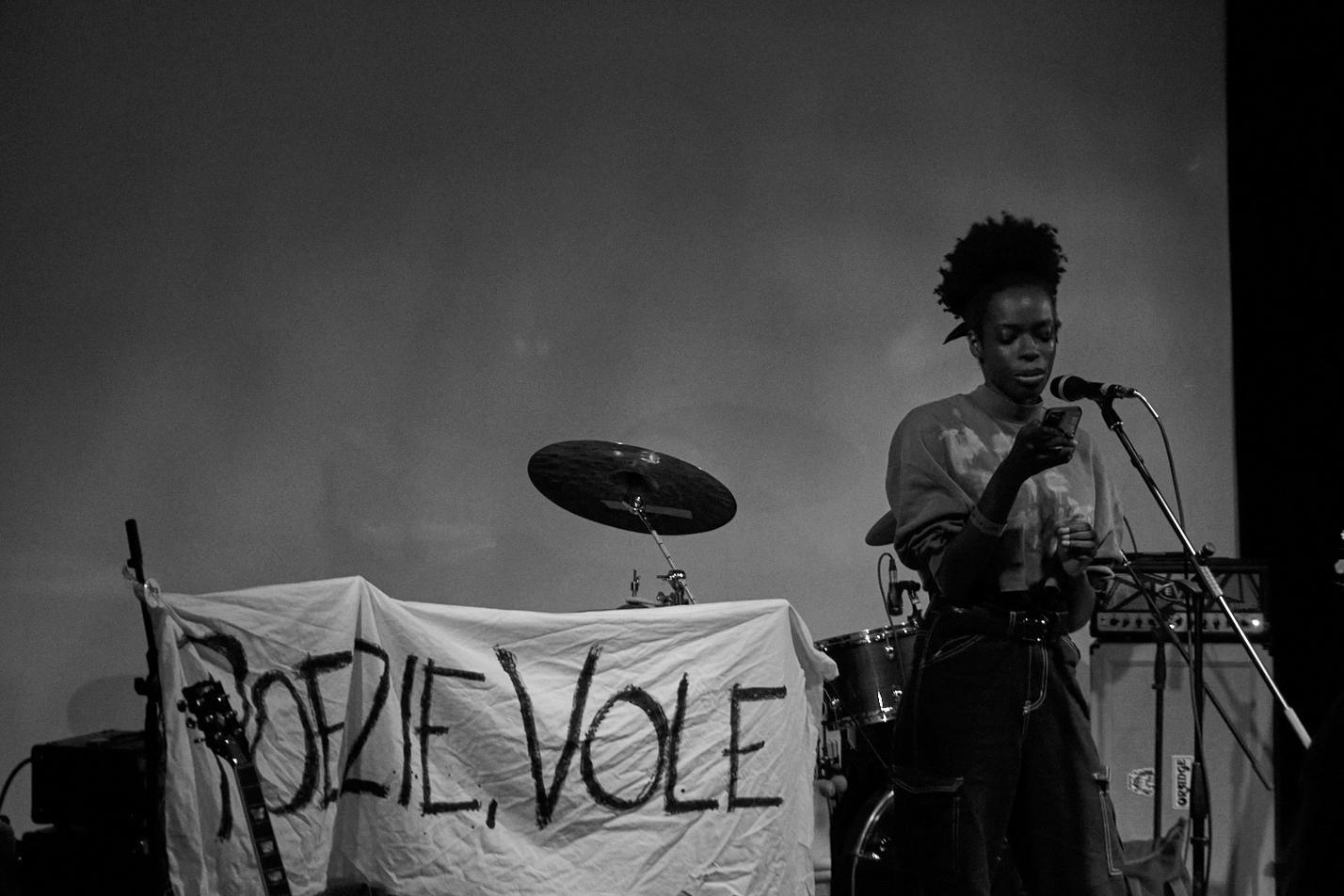 poezie-vole-28