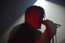 Cardinal Noire (5) (1)